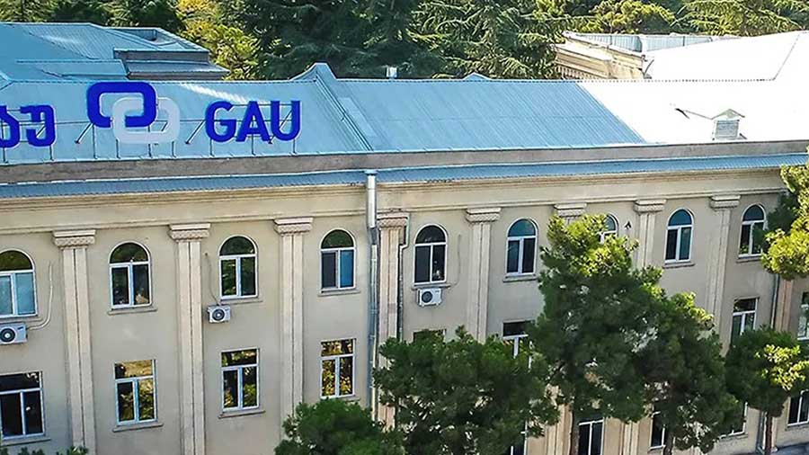 Georgian American University, Georgia